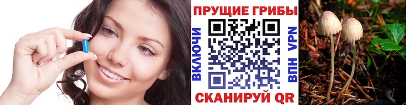 Галлюциногенные грибы Psilocybe  Кемь 